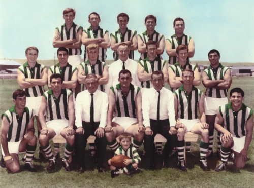 Prem 1967small