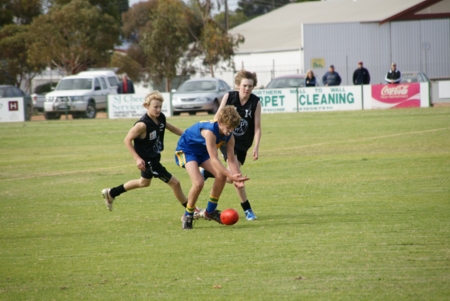 Pirie4