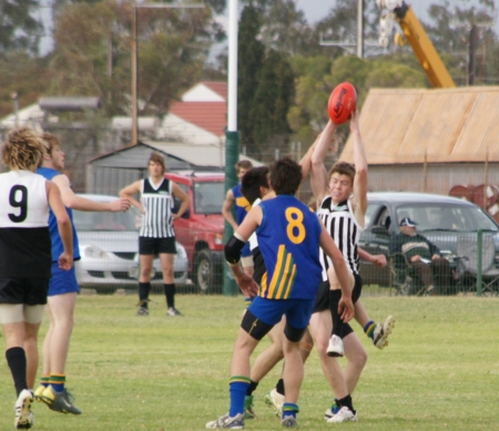 Pirie8