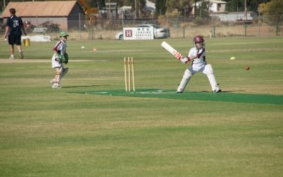 Under 11 Cricket at Port Oval