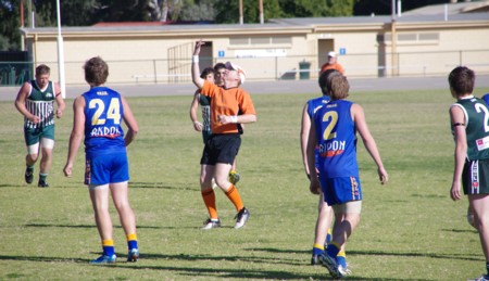 vLions250611_02