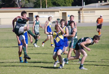vLions250611_03