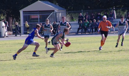 vLions250611_05