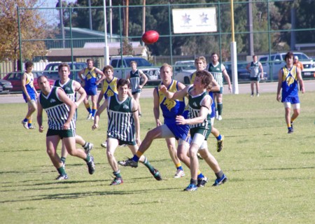 vLions250611_06