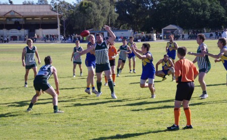 vLions250611_08