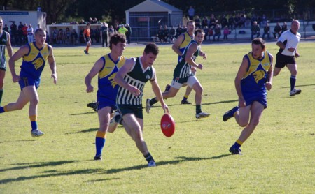 vLions250611_12
