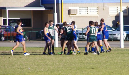 vLions250611_17