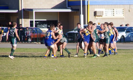 vLions250611_18