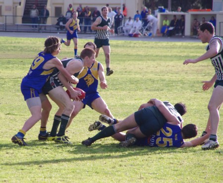 lions_07082011_11