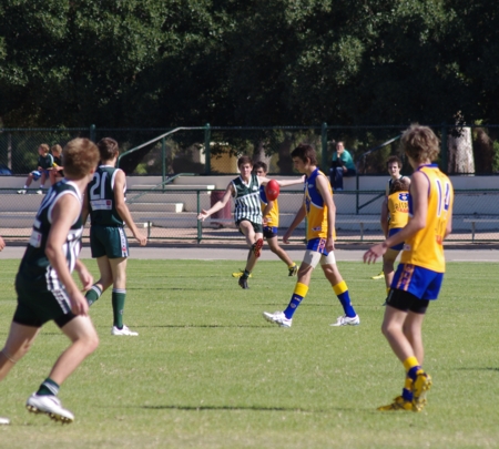 vlions050512_1