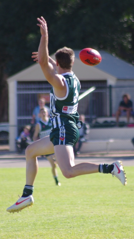 vlions050512_11