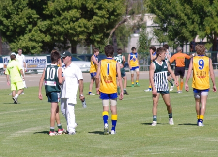 vlions050512_2