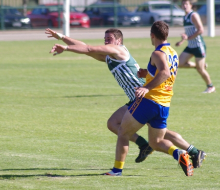 vlions050512_9