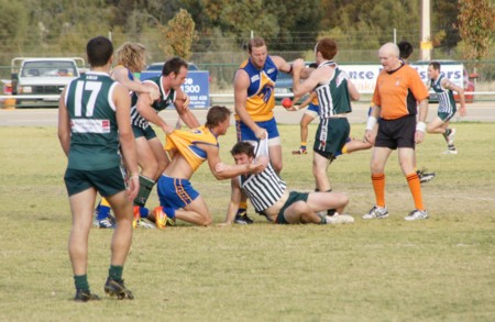 vLions160612_11
