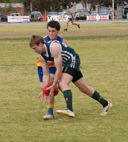 vLions160612_14