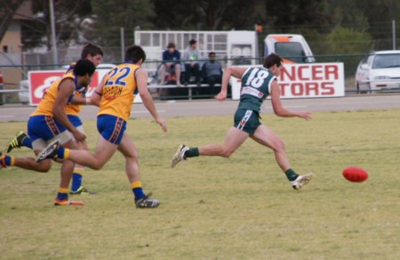 vLions160612_16