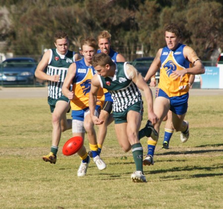 vLions160612_3