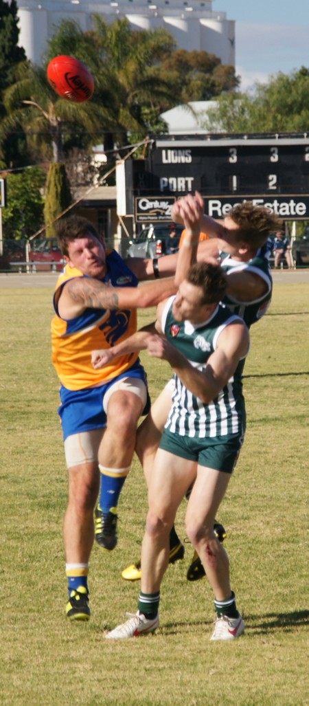 vLions160612_5