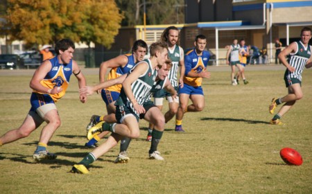 vLions160612_6
