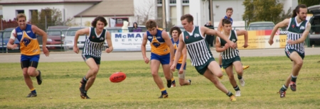 vLions290712_13