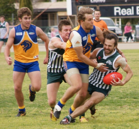 vLions290712_14