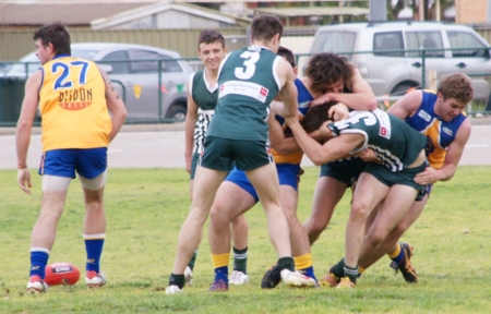 vLions290712_21