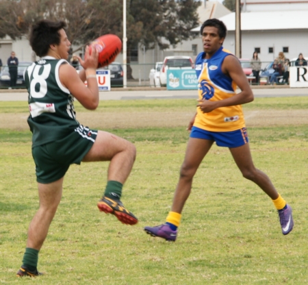 vLions290712_3