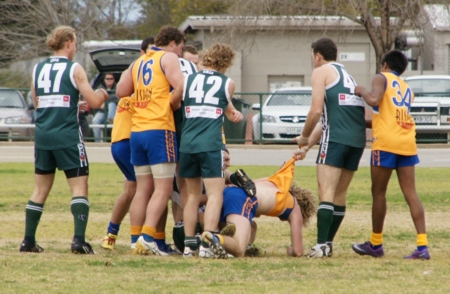 vLions290712_4