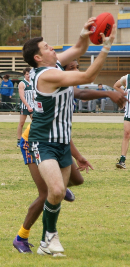 vLions290712_5