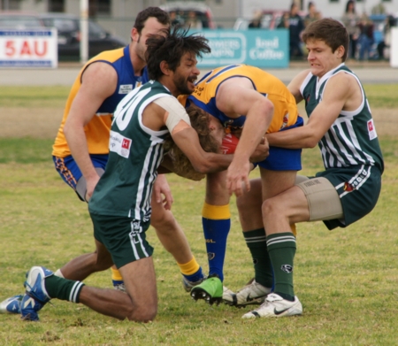 vLions290712_9