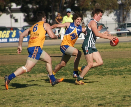vLions020912_10
