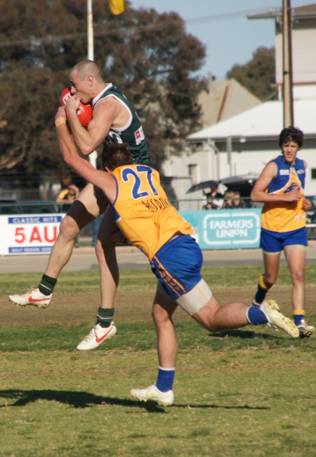 vLions020912_13