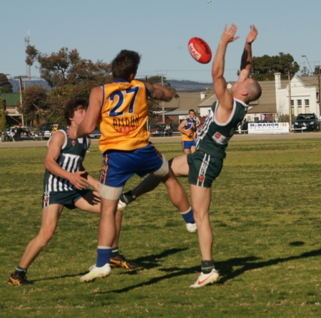 vLions020912_15