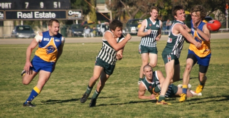 vLions020912_16