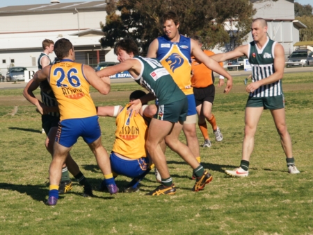 vLions020912_18