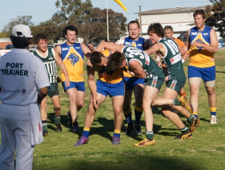 vLions020912_19