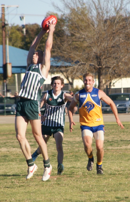vLions020912_25