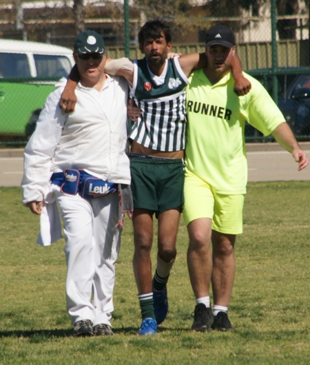 vLions020912_3