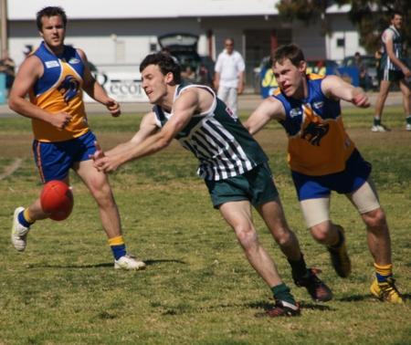 vLions020912_4