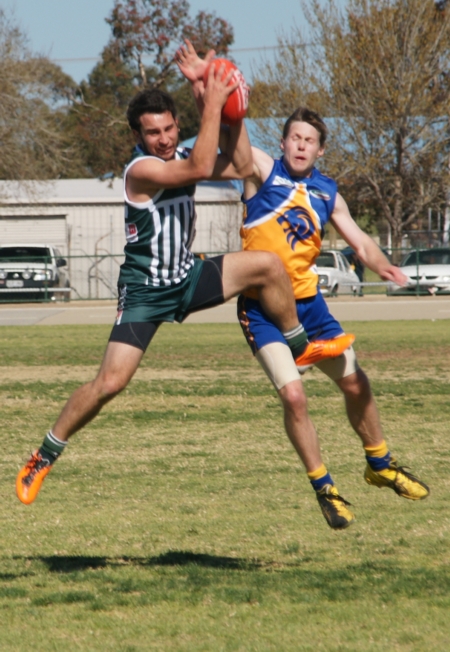 vLions020912_5
