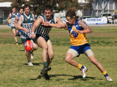vLions020912_7
