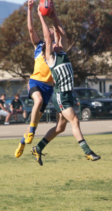 vLions020912_9
