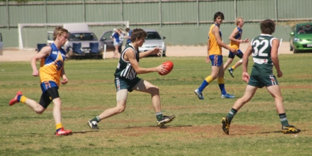 vLions150912_12