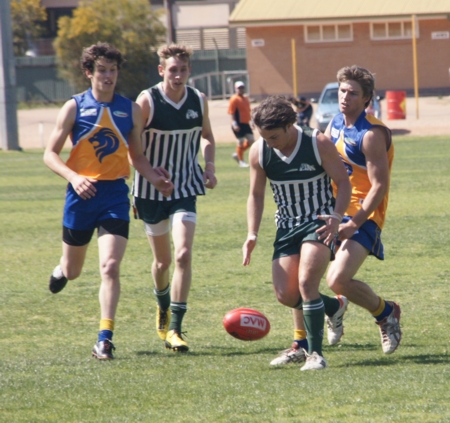 vLions150912_2