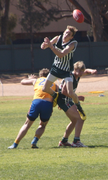 vLions150912_3
