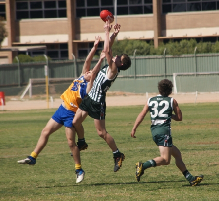vLions150912_7