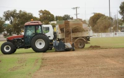 Turf Barber on Oval