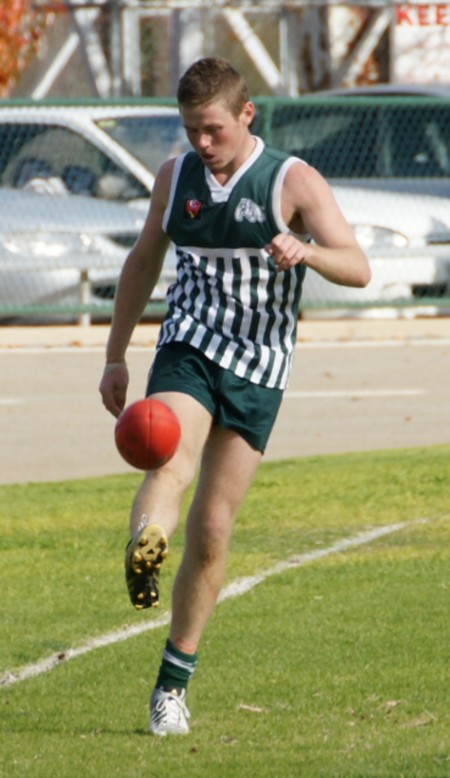 vLions290613_01