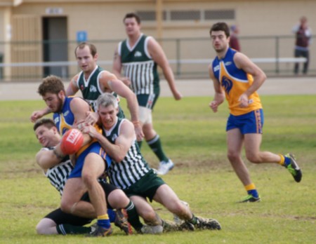 vLions290613_04