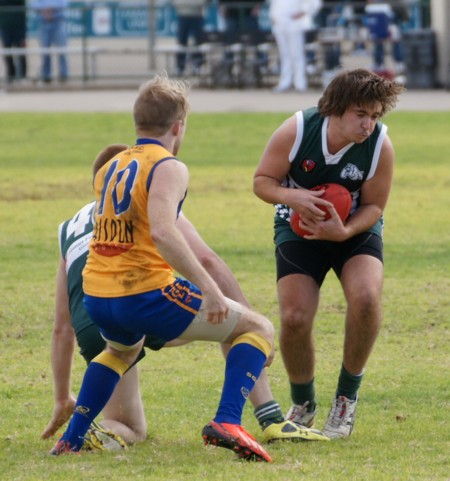 vLions290613_05